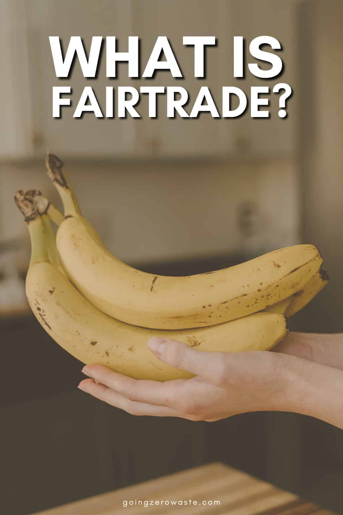 What’s Fairtrade? Is It Sustainable?